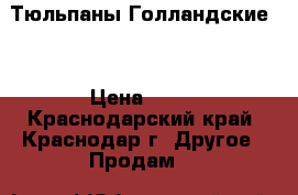 Тюльпаны Голландские . › Цена ­ 25 - Краснодарский край, Краснодар г. Другое » Продам   